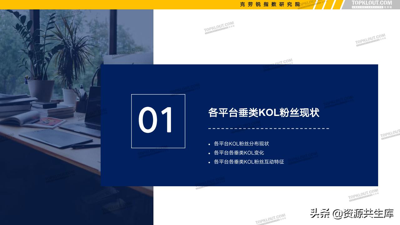 各平台kol的粉丝现状,kol粉丝分析报告