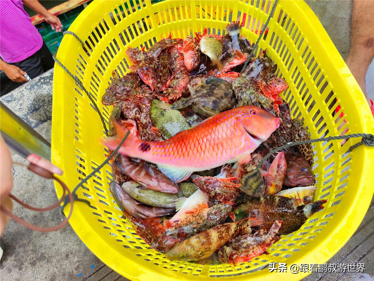 谁说陕西是美食荒漠,海南真的是美食荒漠吗