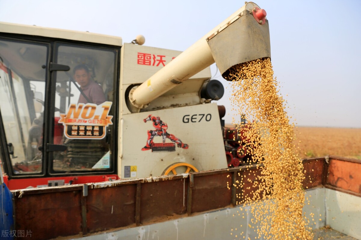 大豆价格预测尽在大豆价格信息网,大豆价格最新7月2号大豆价格行情