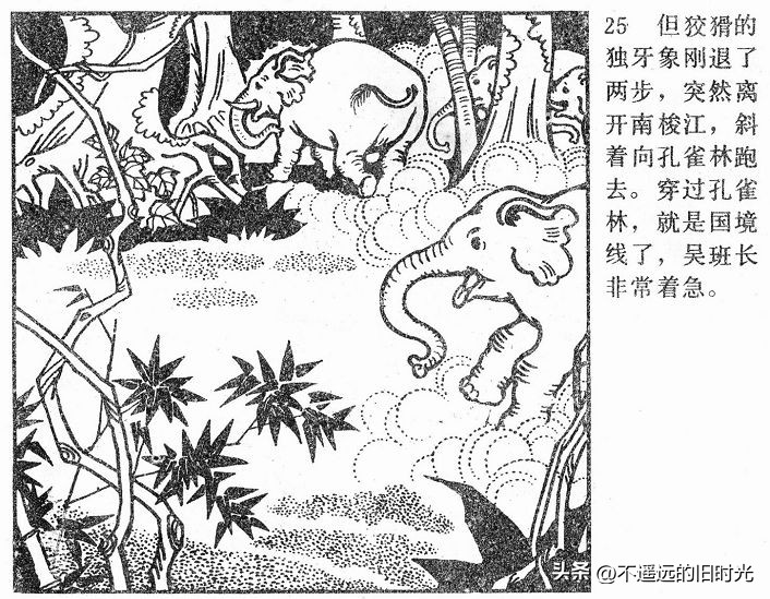 大象搬家,大象搬家河北