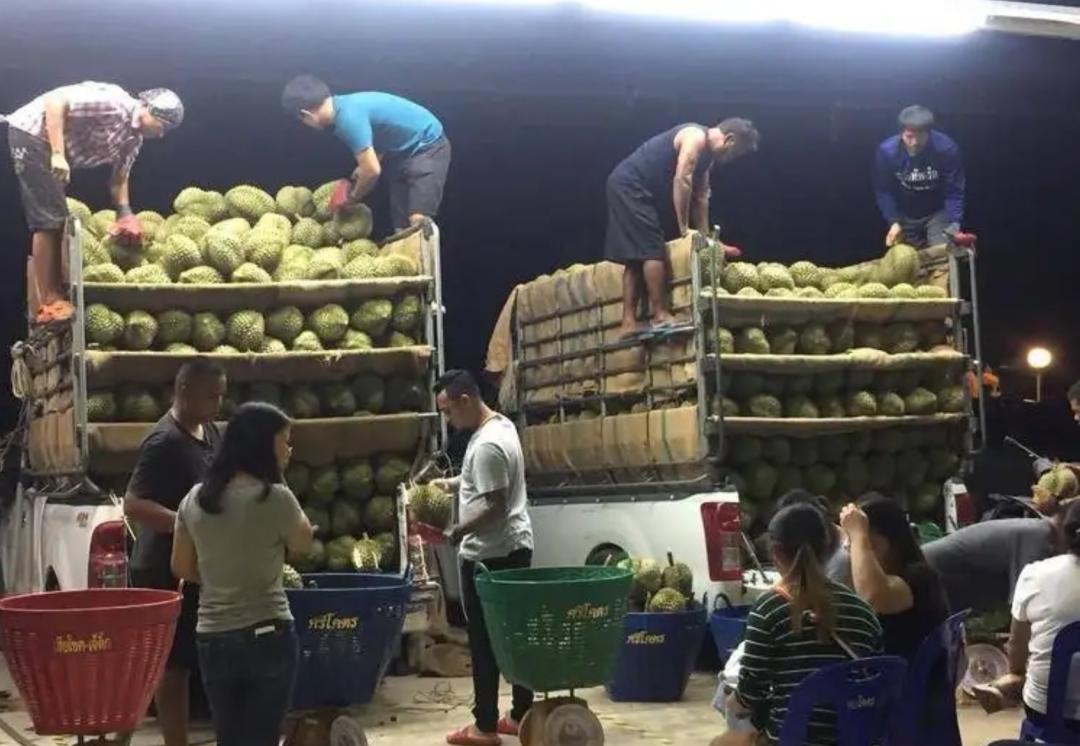 一斤榴莲可以赚多少,市场一斤榴莲赚几钱