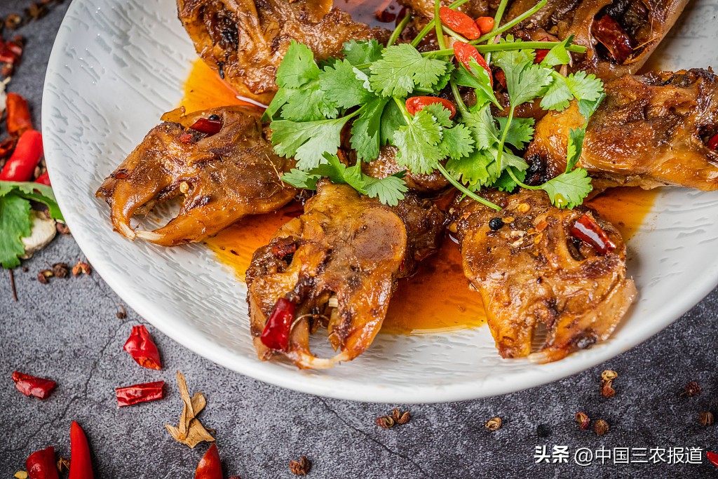 小白兔是什么种类的兔子,如何知道兔子是小型兔还是大型兔