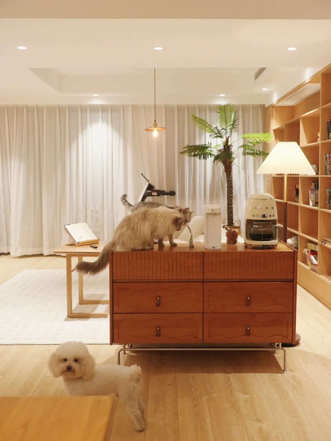 209m²只做两室?95后小夫妻说:这种浪漫,北上广的老破小给不了