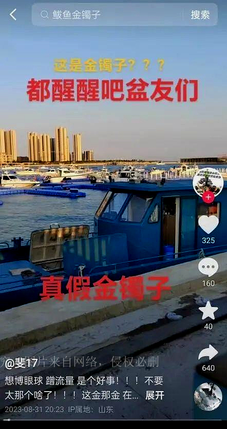 男子海钓遇到鱼身卡金镯,海钓鲅鱼身上套一只金镯真相