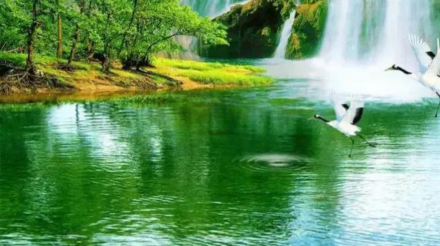 浪淘沙欧阳修把酒祝东风书法,古诗词浪淘沙诵读