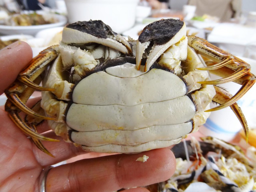 阳澄湖大闸蟹凭什么卖那么贵,阳澄湖每年能产多少只大闸蟹