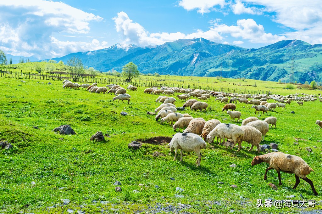 退休去西班牙养老靠谱吗,退休后去格鲁吉亚养老可行吗