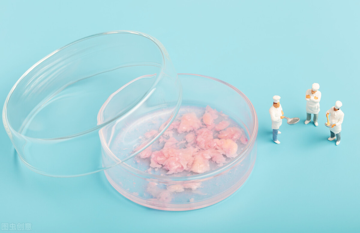 素食并不代表让人完全健康,素食不吃肉的危害