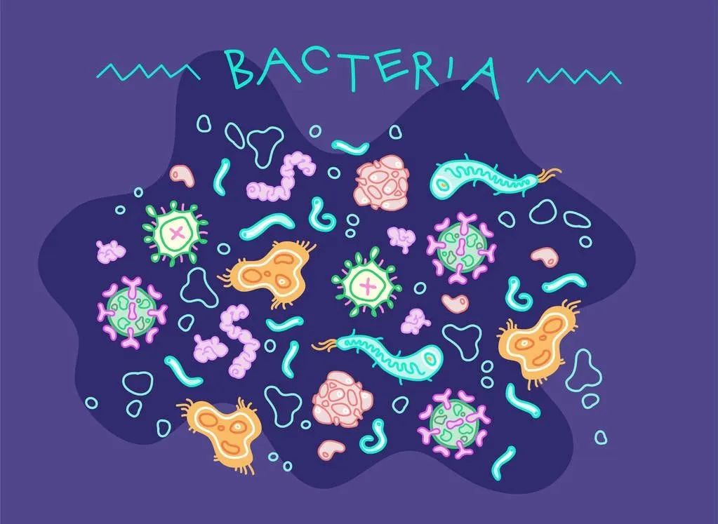 卡戴珊吃的软糖,卡戴珊家族吃薄荷糖