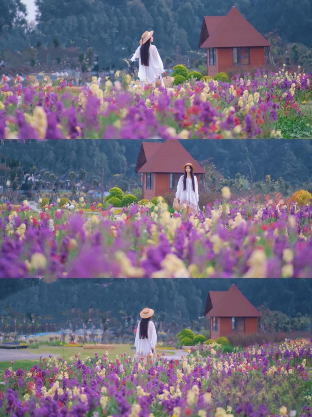 踏青露营地推荐,空港花田古朴森林露营地