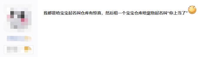 梦幻西游宝宝最拉风的名字,梦幻西游召唤兽宝宝名字