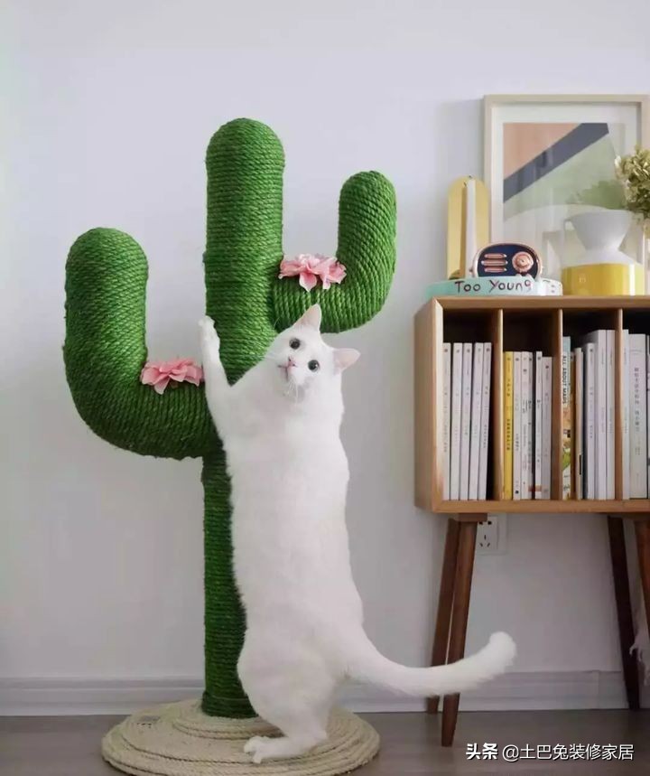 适合小夫妻住的两室一厅,90后小夫妻住30平米的房间吃什么