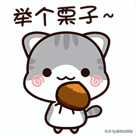 爆肝整理！万字攻略I怎么给熊孩子买保险