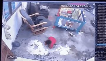 养猫有细菌浪费钱吗,养猫有用吗