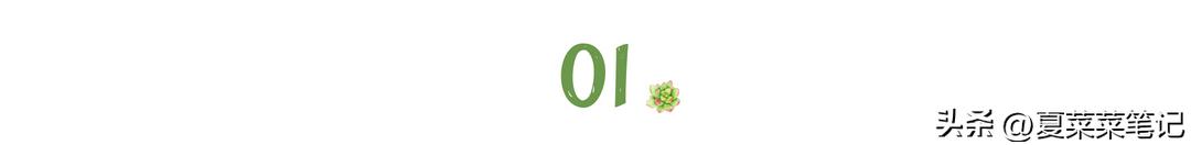 自媒体怎么一个月赚1000,自媒体怎么做到一月挣一万