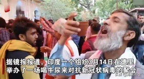 印度教徒喝牛尿能杀病毒吗,印度人用牛尿泡牛粪