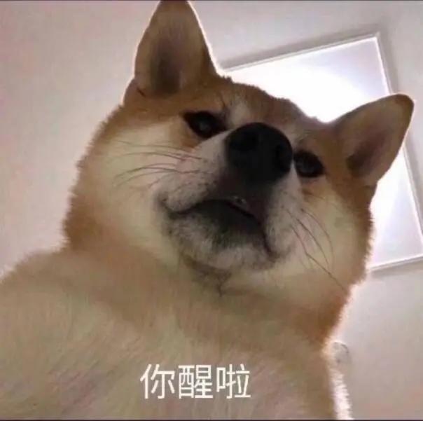 推书君网页版,推书君小说收藏榜