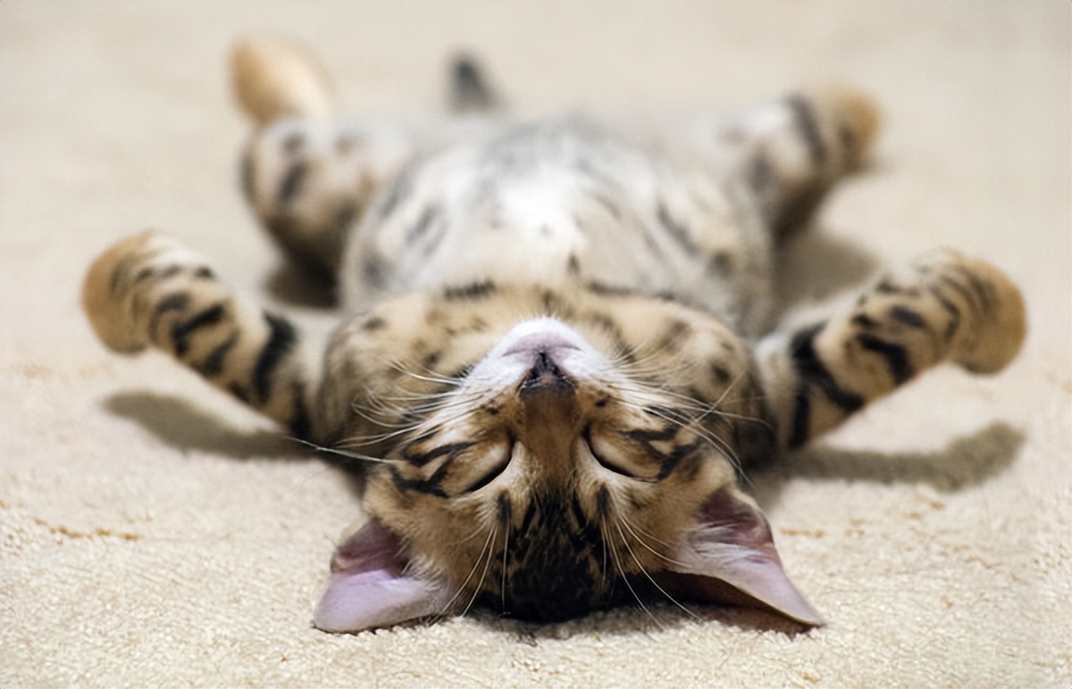 调理睡眠中药需要多长时间见效,增加老人睡眠深度和时间的中药