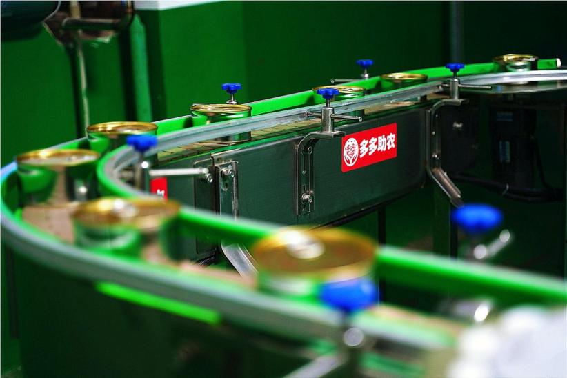 村里又有喜事临门,村里有喜事了真实视频