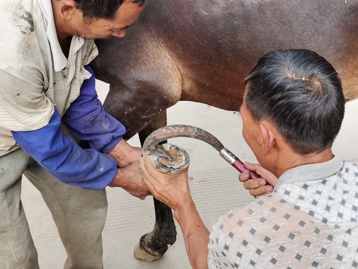 中国父亲在日本打工的真实故事,爸爸第一次进城故事