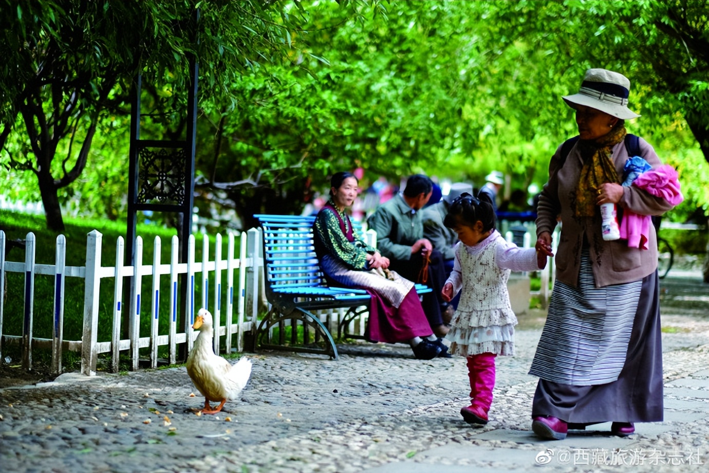 拉萨最近何时能下雨,最近拉萨一直下雨是什么原因