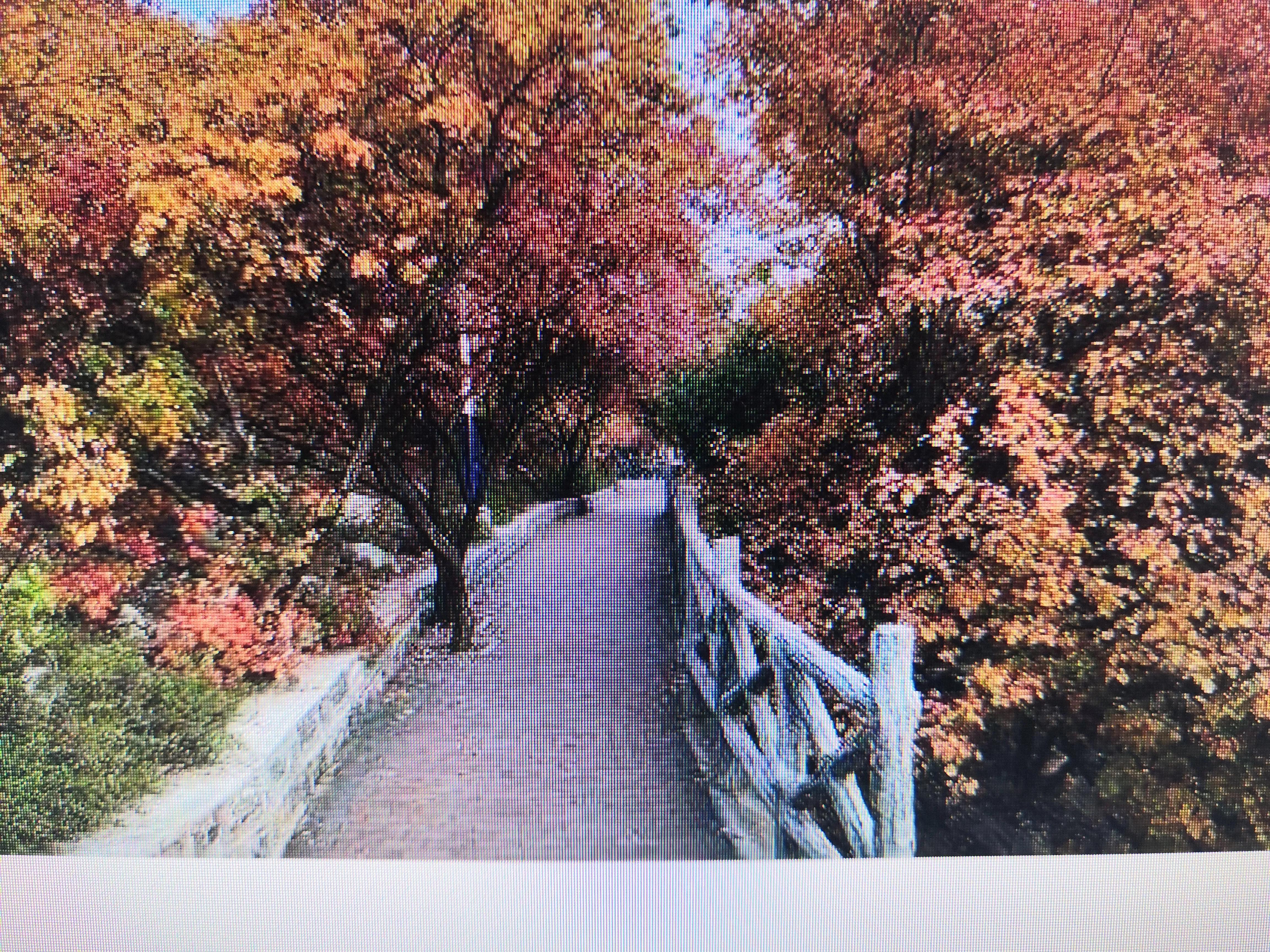 济南最宜居的城市排名,济南是一座什么之城