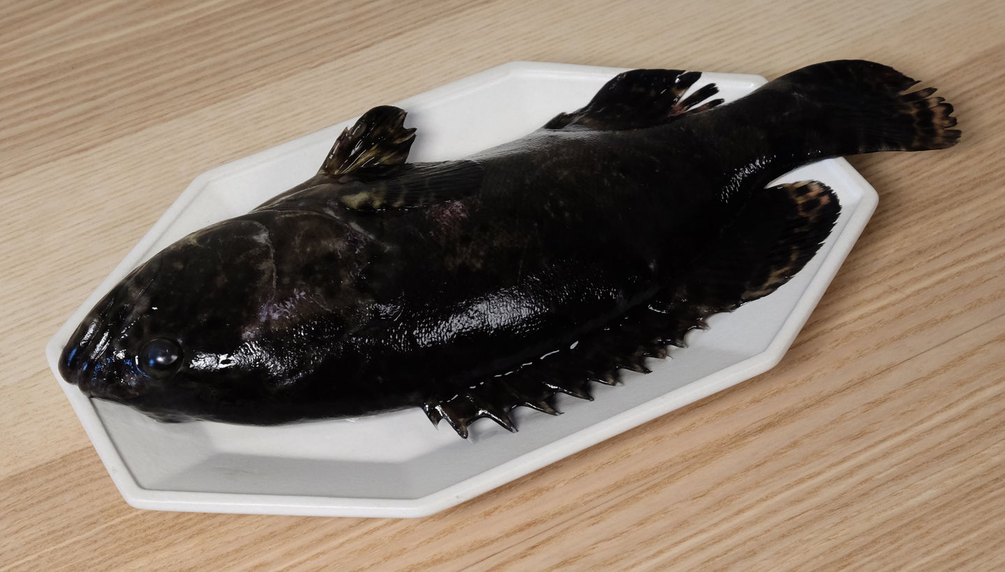 蒸鱼看鱼眼,蒸鱼熟不熟看眼睛吗