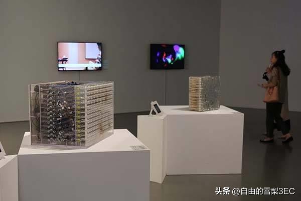 艺术史家学者水天中去世享年89岁：艺术可以超越功利