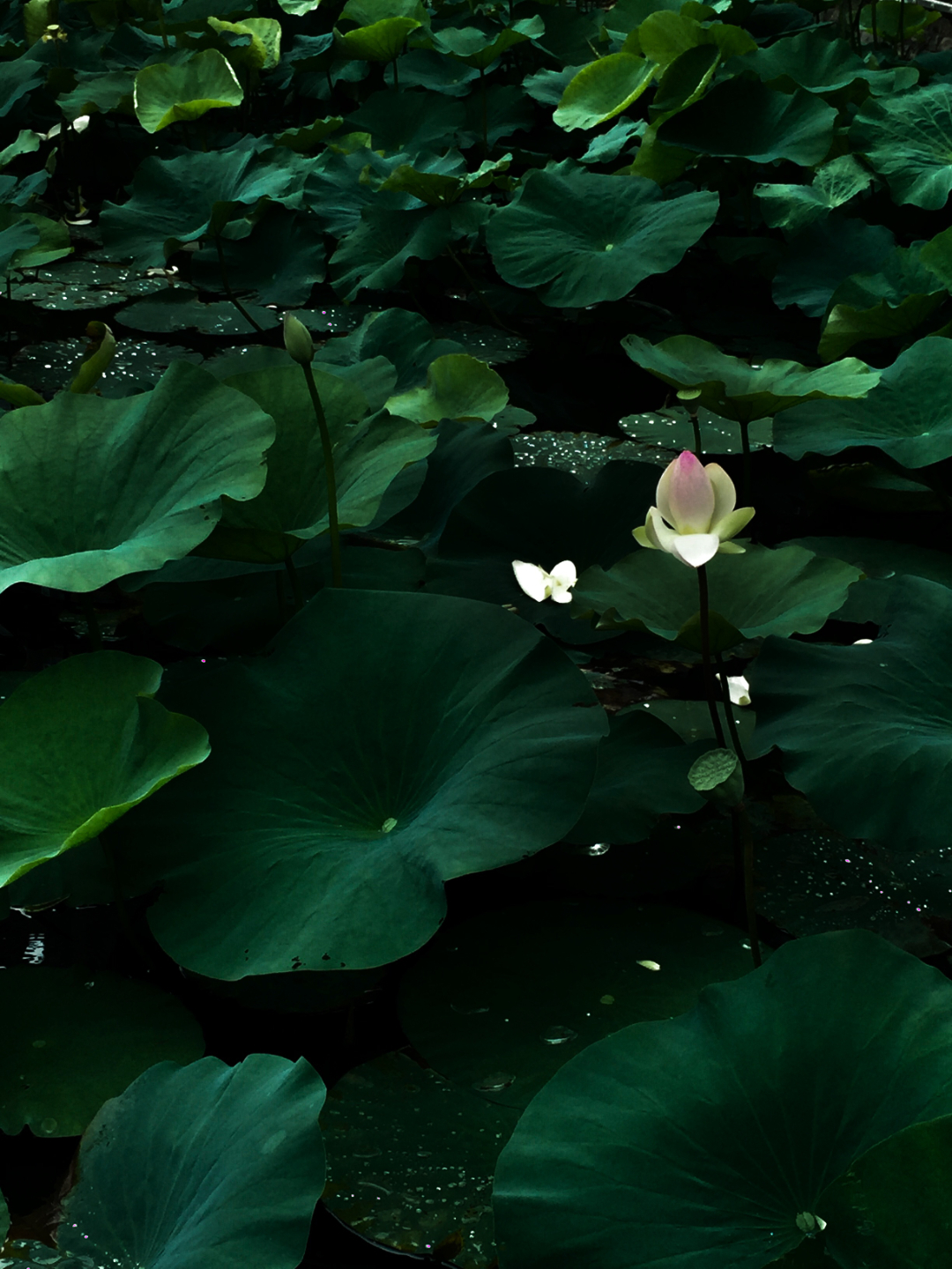 健康手册必读,员工好书推荐合集