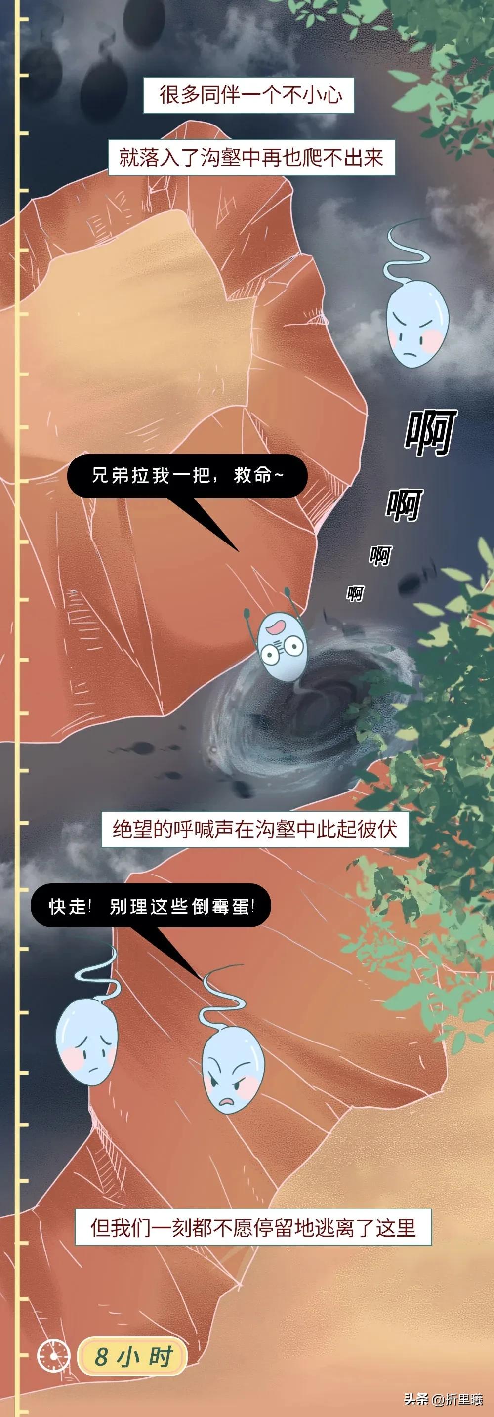 精子进入女生体内的24小时全过程曝光！