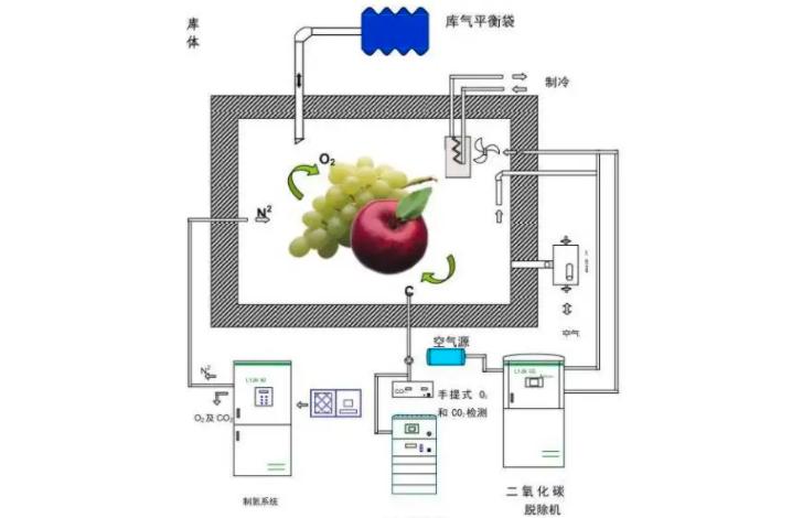 米放进密封盒为什么还是生虫,米如何存放不会生虫