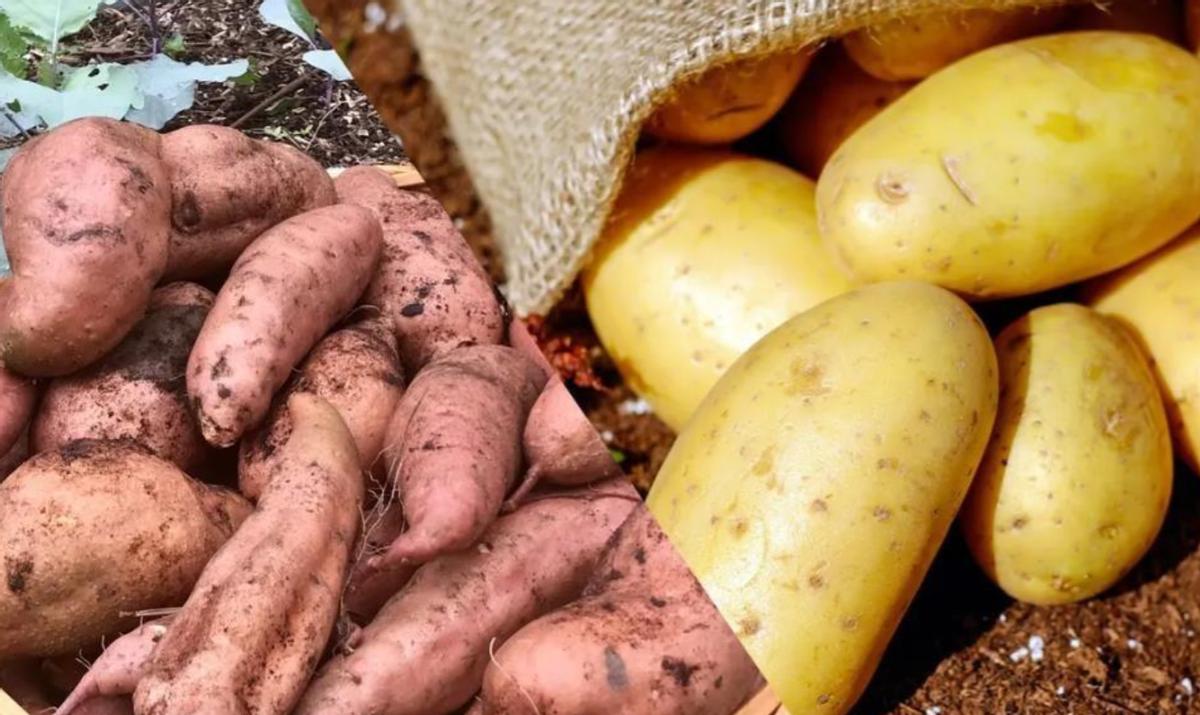 农村的散酒便宜实惠但如何分辨,农村大集的散酒为啥只卖几块钱