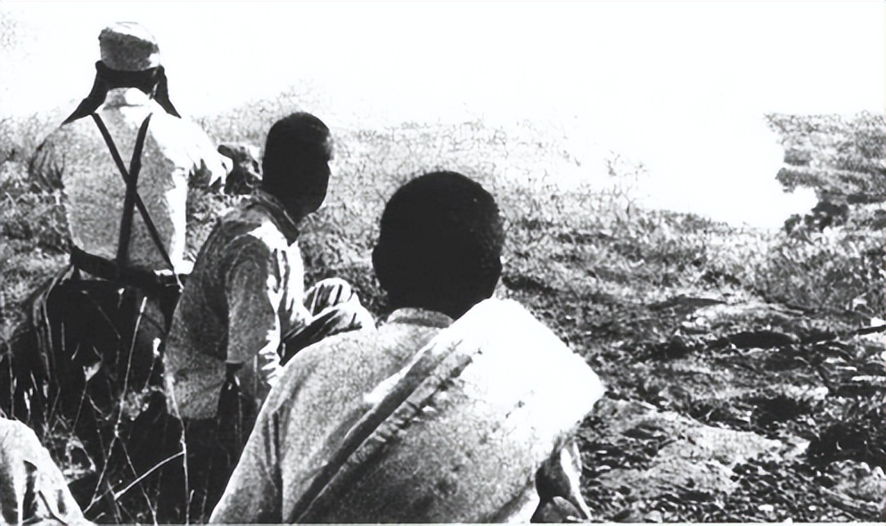 中原突围以后有什么失利,中原突围最后去哪了