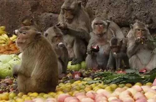 你不知道的国家冷门知识泰国,那些你不知道的泰国冷知识