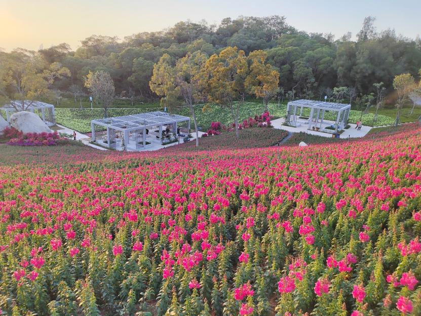 厦门新地块最新消息,2022年厦门新晋打卡地