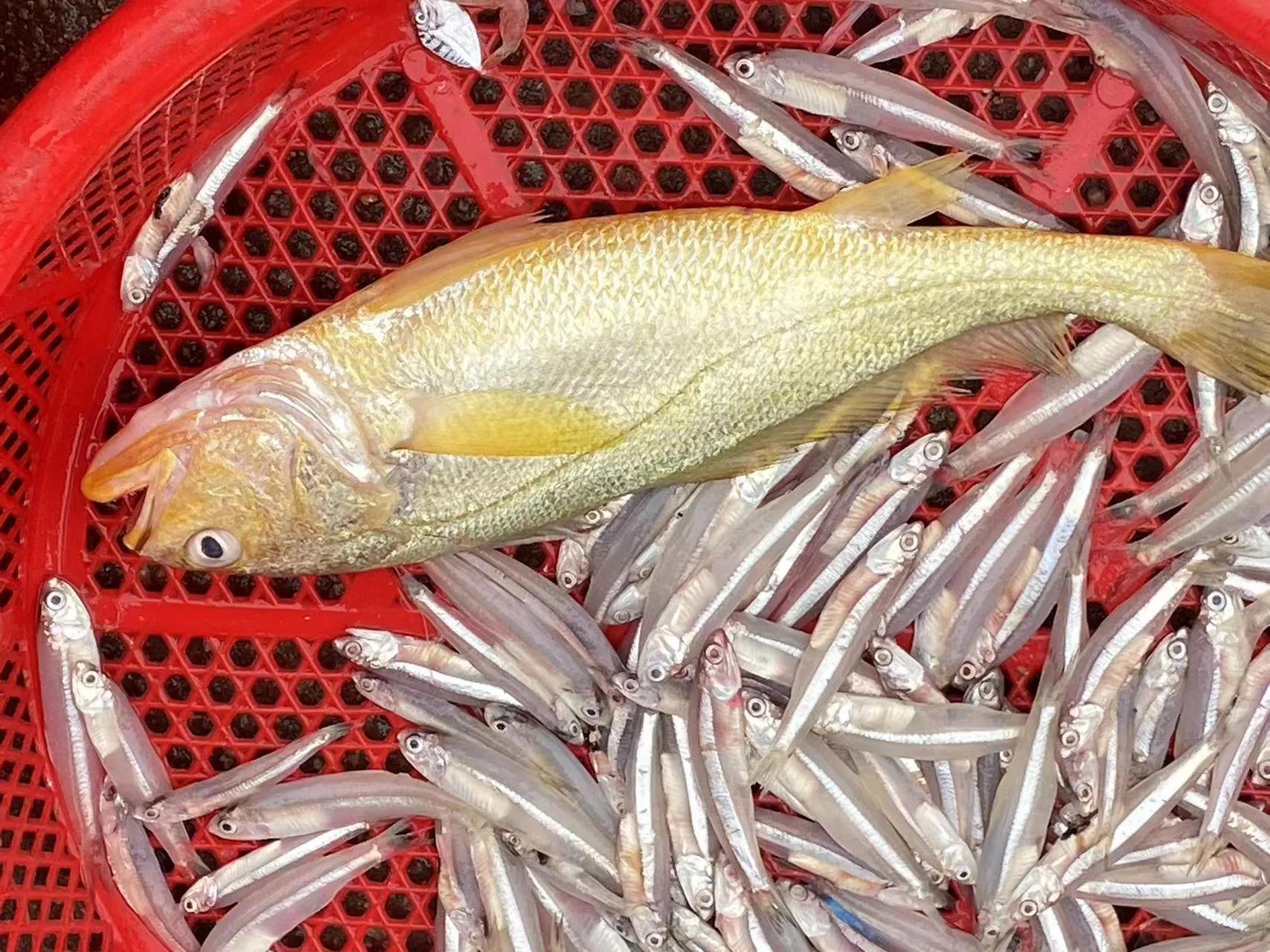 澄迈东水港渔码头,海南澄迈东水码头