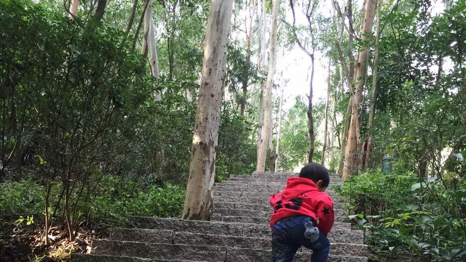 老年人膝盖疼响的最好治疗方法,老人膝盖软该注意些什么