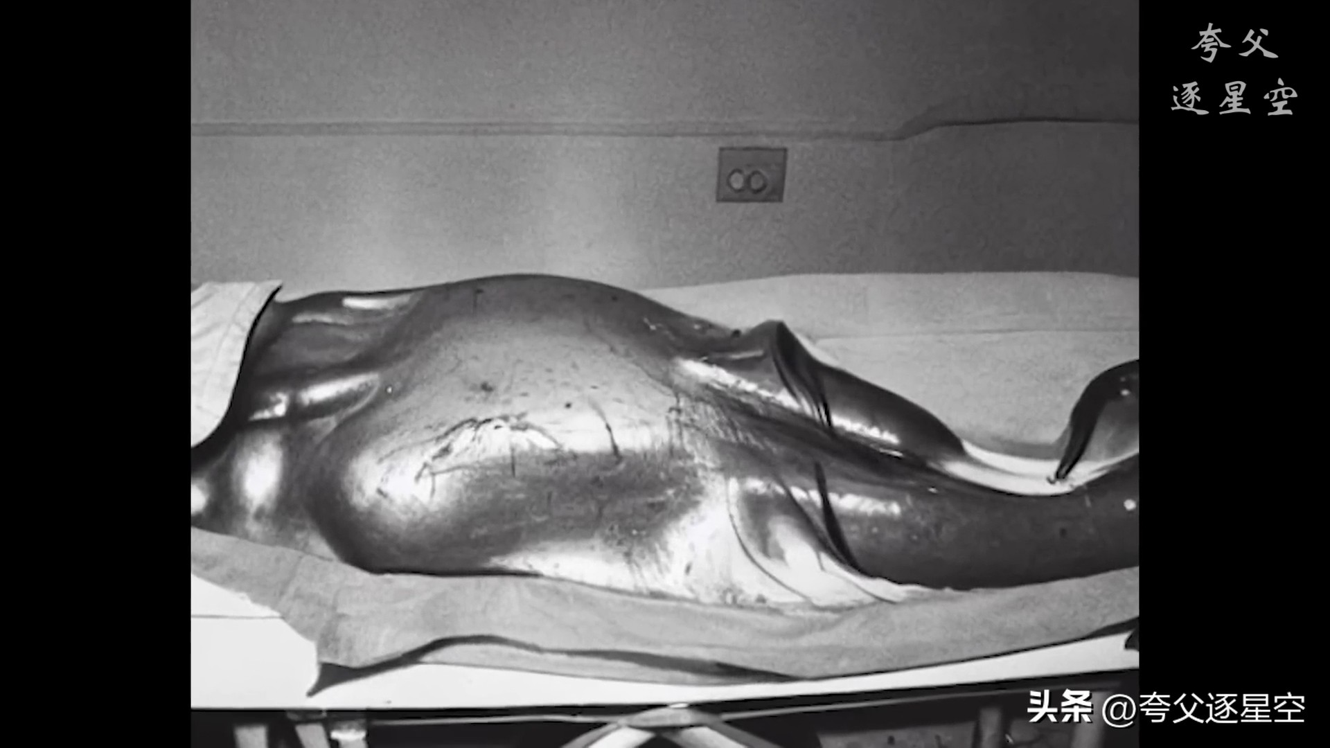 老梁揭秘罗斯威尔飞碟事件,罗斯威尔事件真相大全