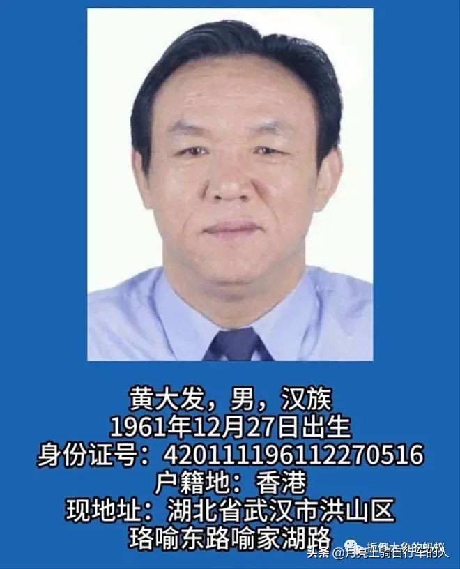 武汉黄大发黑恶势力狗仗人势作孽：另类畜生叫腐败分子