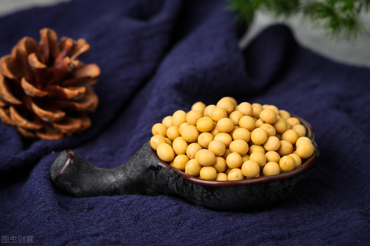 没有数据就是死路一条,没有数据会怎么样