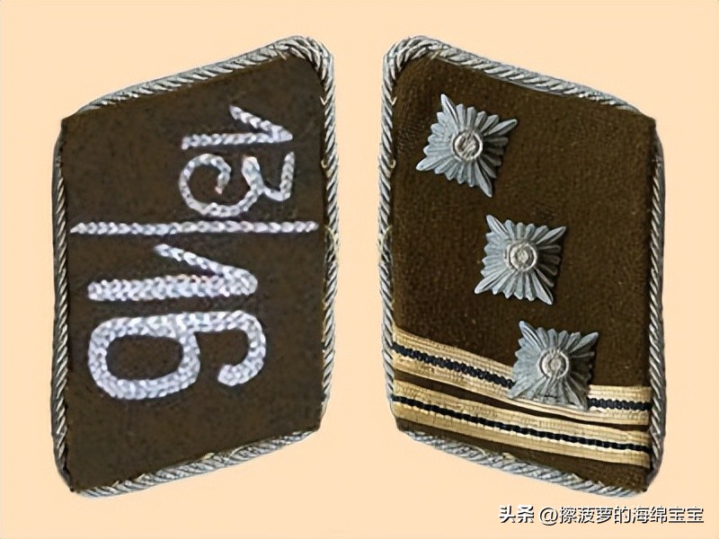 纳粹冲锋队用的什么枪,纳粹德军军衔图解