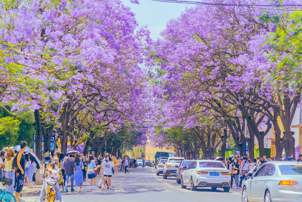 昆明气候四季如春的主要原因,昆明的气候为什么会四季如春呢