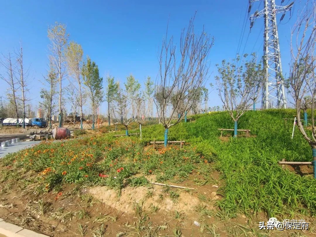 保定建设品质生活之城规划,保定品质之城规划