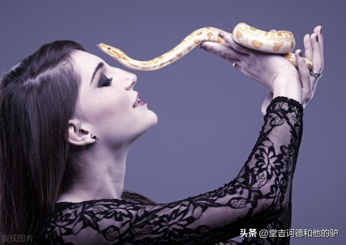 菜花蛇钻进裙子里吓得不敢动弹,野外发现菜花蛇