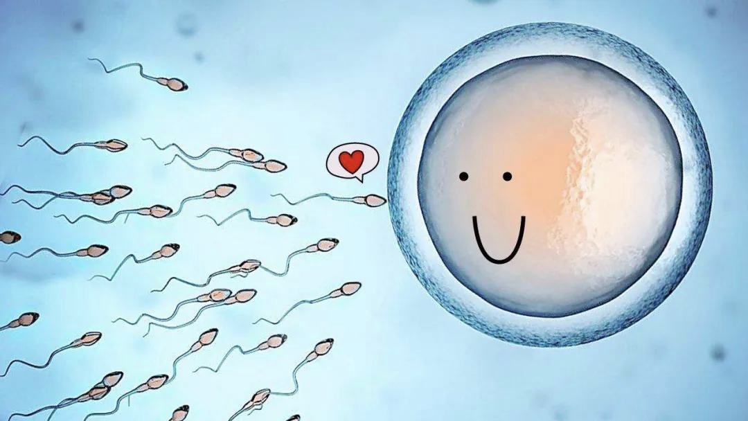 不孕不育检查前要做哪些准备,做不孕不育检查要提前做哪些准备