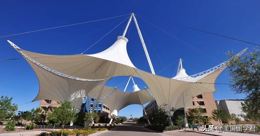 ASU委屈：我给硅谷输送人才，比MIT更创新，为什么排名一般？