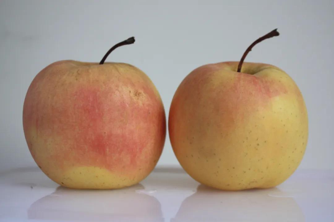 破壁机怎么打苹果汁不变色,苹果汁怎样做才不会氧化