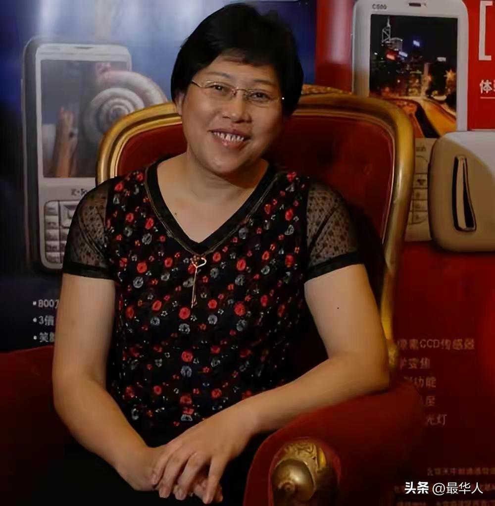 中国山寨机,山寨机经济损失