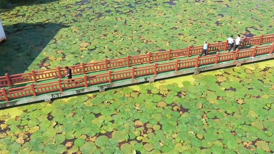 芡实怎么做着吃除湿,芡实生吃祛湿还是炒祛湿