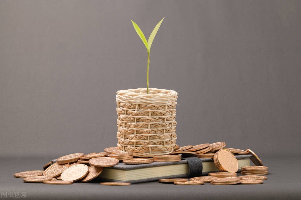 招商加盟的最佳盈利模式,招商加盟是不是好的商业模式